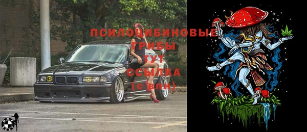 apvp Абаза