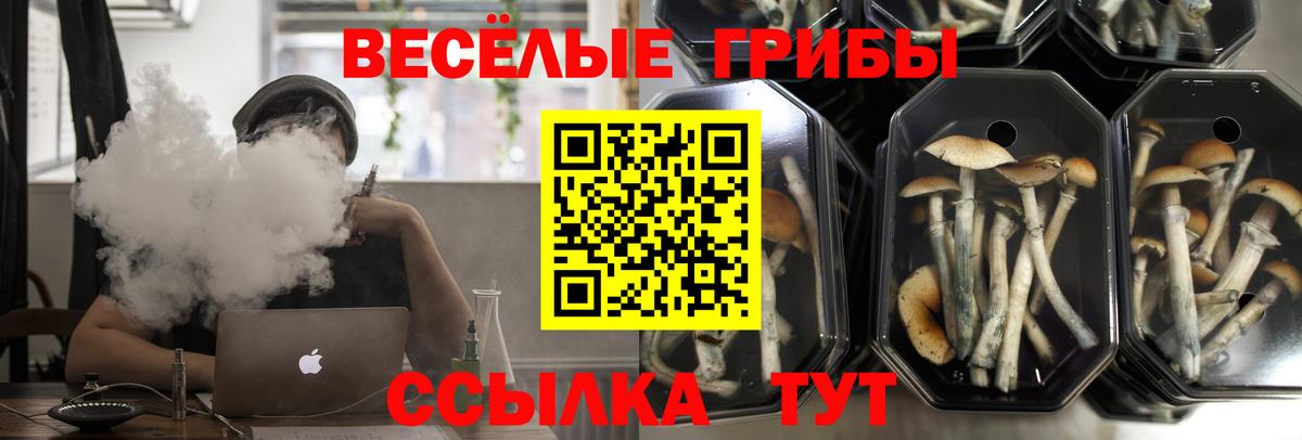Псилоцибиновые грибы GOLDEN TEACHER  Галлюциногенные грибы ЛСД  Вход с VPN  Комсомольск-на-Амуре 